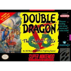 Double Dragon V The Shadow Falls